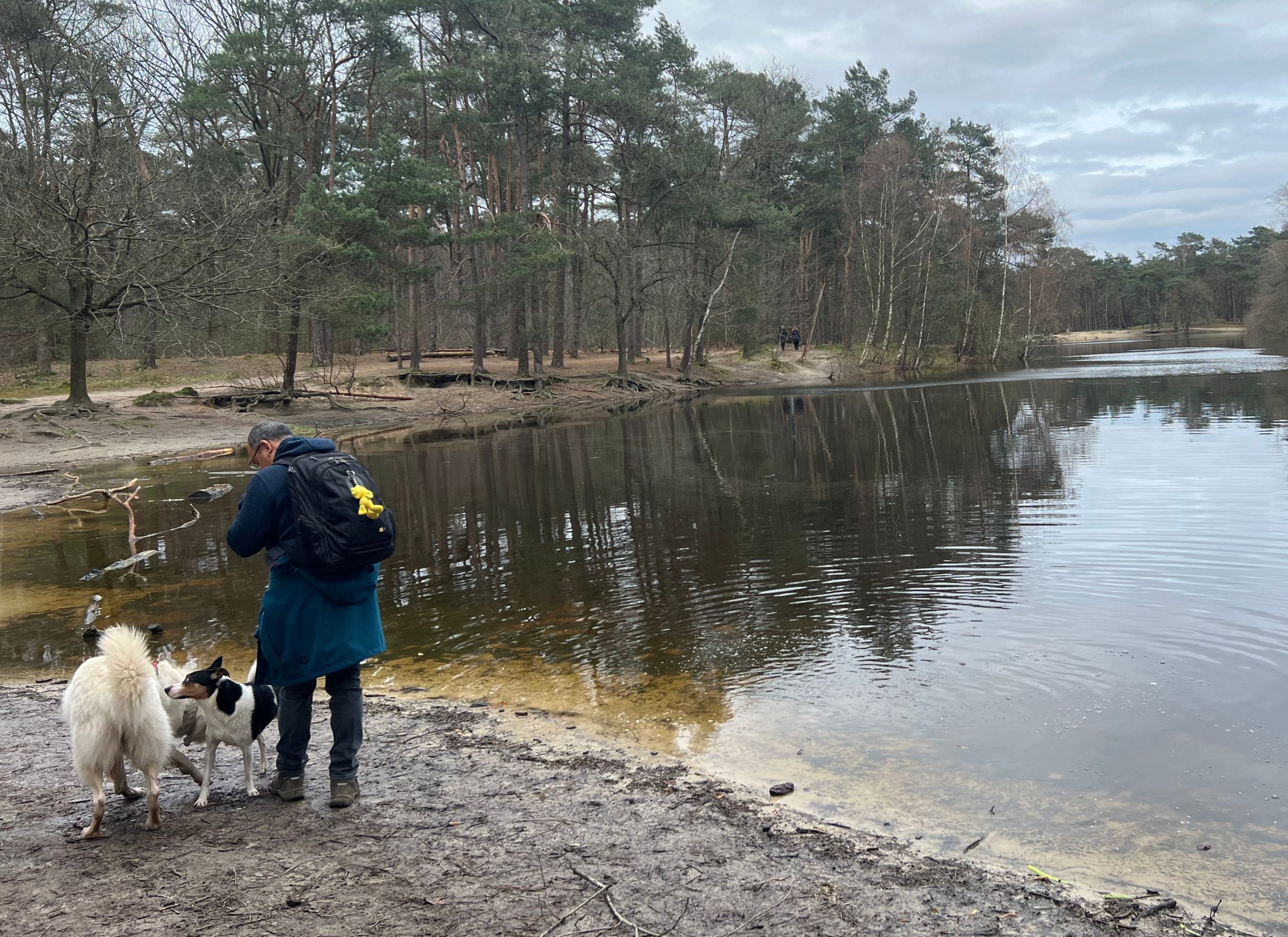 Vijver Loonse en Drunense duinen